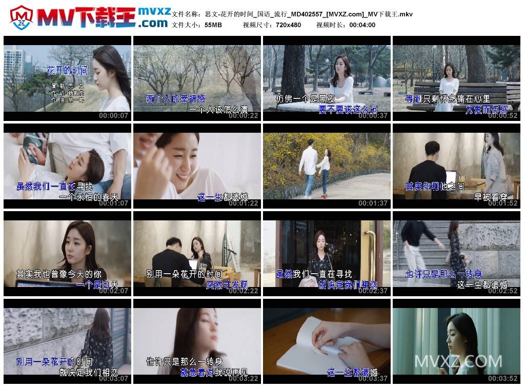 思文-花开的时间_国语_流行_MD402557